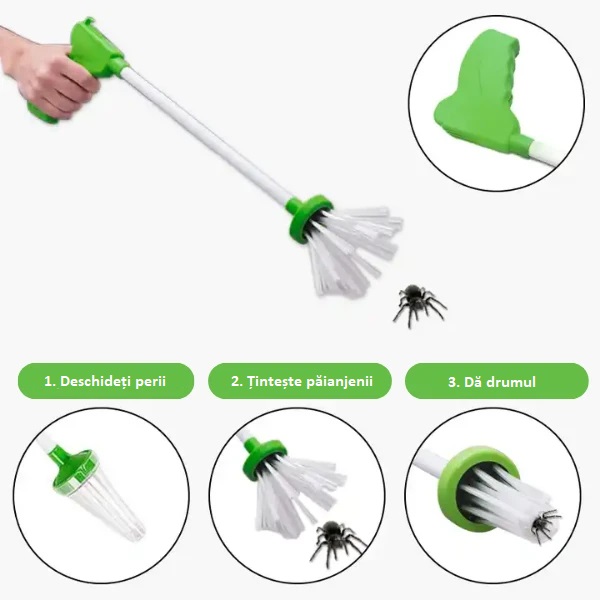 Păianjen și prins de insecte